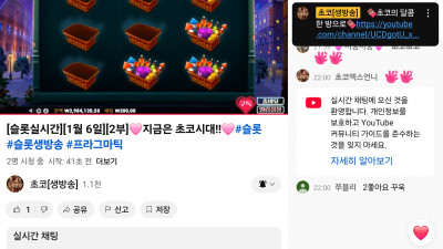 초코 2부라이브