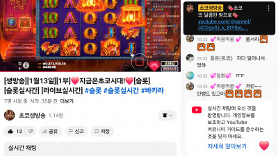 초코 라이브