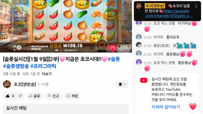 초코 라이브 2부