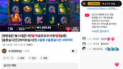 초코 라이브 시작