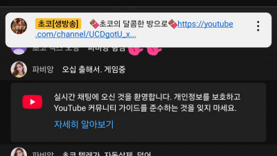 초코1부고고