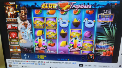 초코 2부