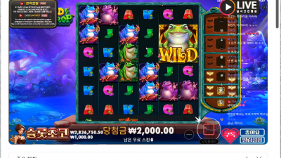 초코2