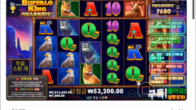 마초1