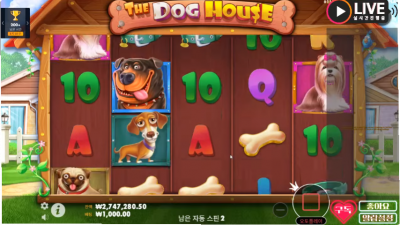 초코2부
