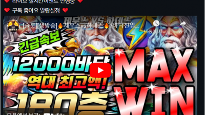 마초대박