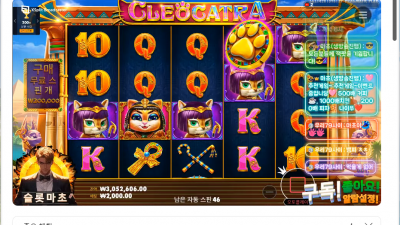 마초2