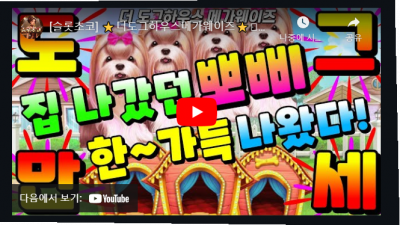 초코대박