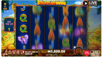 초코1부