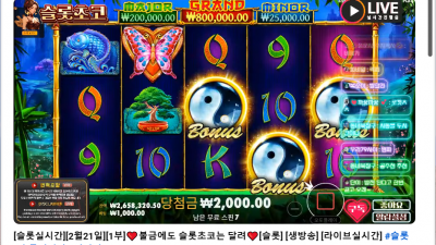 초코1