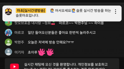 마초 돌발