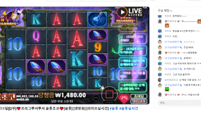 초코 2부 라이브 방송중~