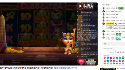 1월21일 초코 라이브 방송중~