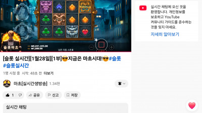 마초 라이브