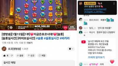 초코 라이브