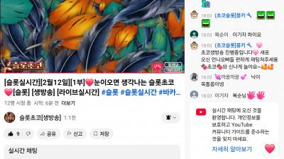 초코 1부