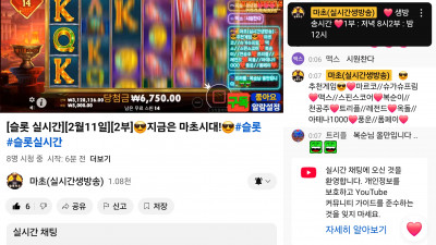 마초 2부