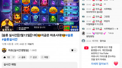 마초 라이브