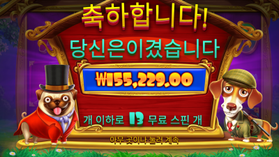 새로나온 개집