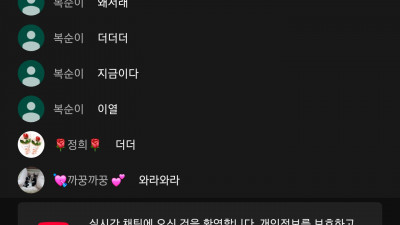 마초가즈아