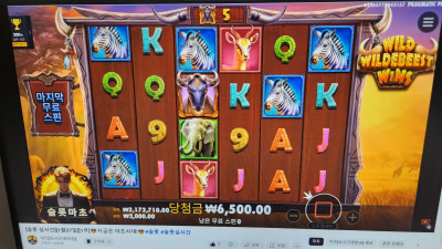 슬롯마초 1부~홧팅홧팅