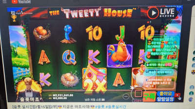 2월 16일 슬롯마초 라이브방송 ~~
