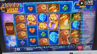 초코1부. 라이브 방송~~