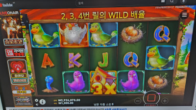 슬롯초코 1부~~