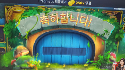 팟오브포춘  250배~ 소소하게