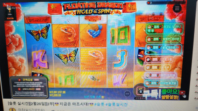 슬롯마초 2부~~라이브방송 ~~