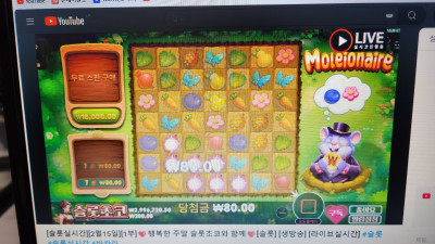 슬롯초코 1부 라이브방송 ~