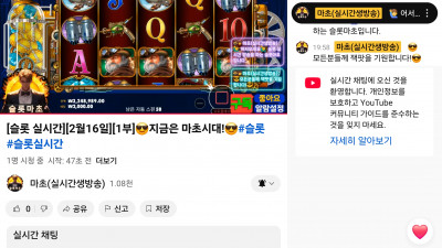 마초 1부