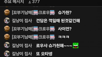 마초